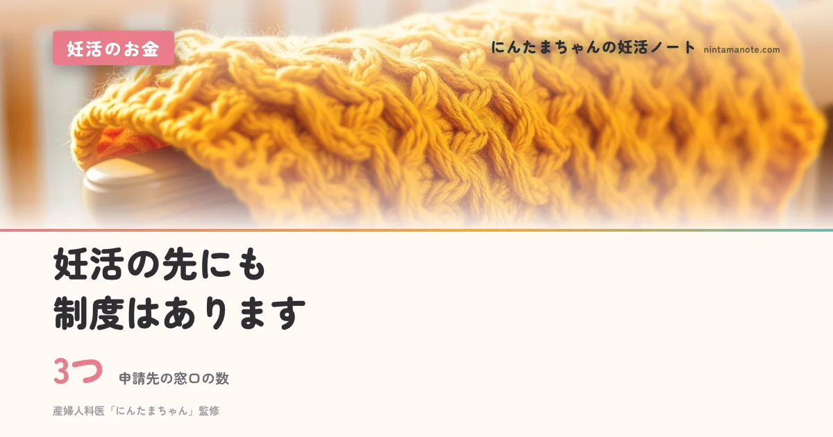 3つ（申請先の窓口の数）。妊活の先にも制度はあります