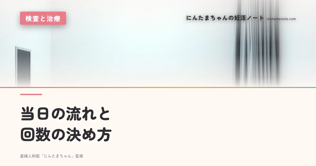 当日の流れと回数の決め方