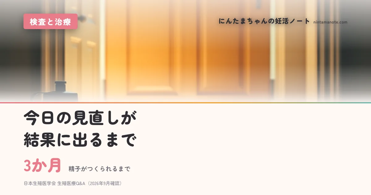 3か月（精子がつくられるまで）。今日の見直しが結果に出るまで