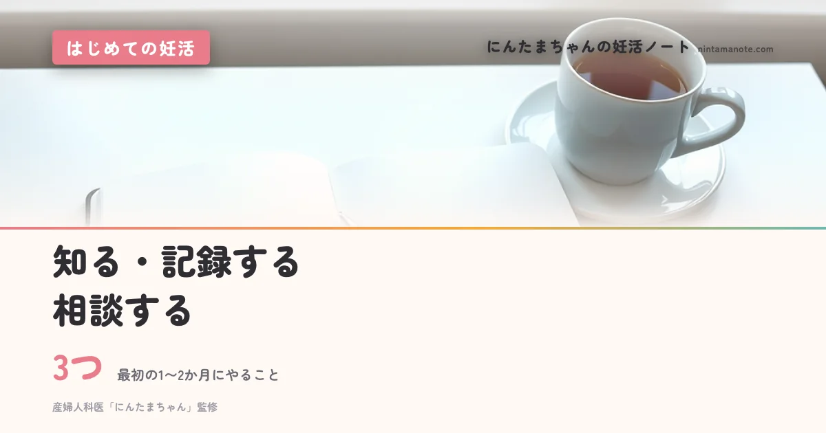 3つ（最初の1〜2か月にやること）。知る・記録する相談する